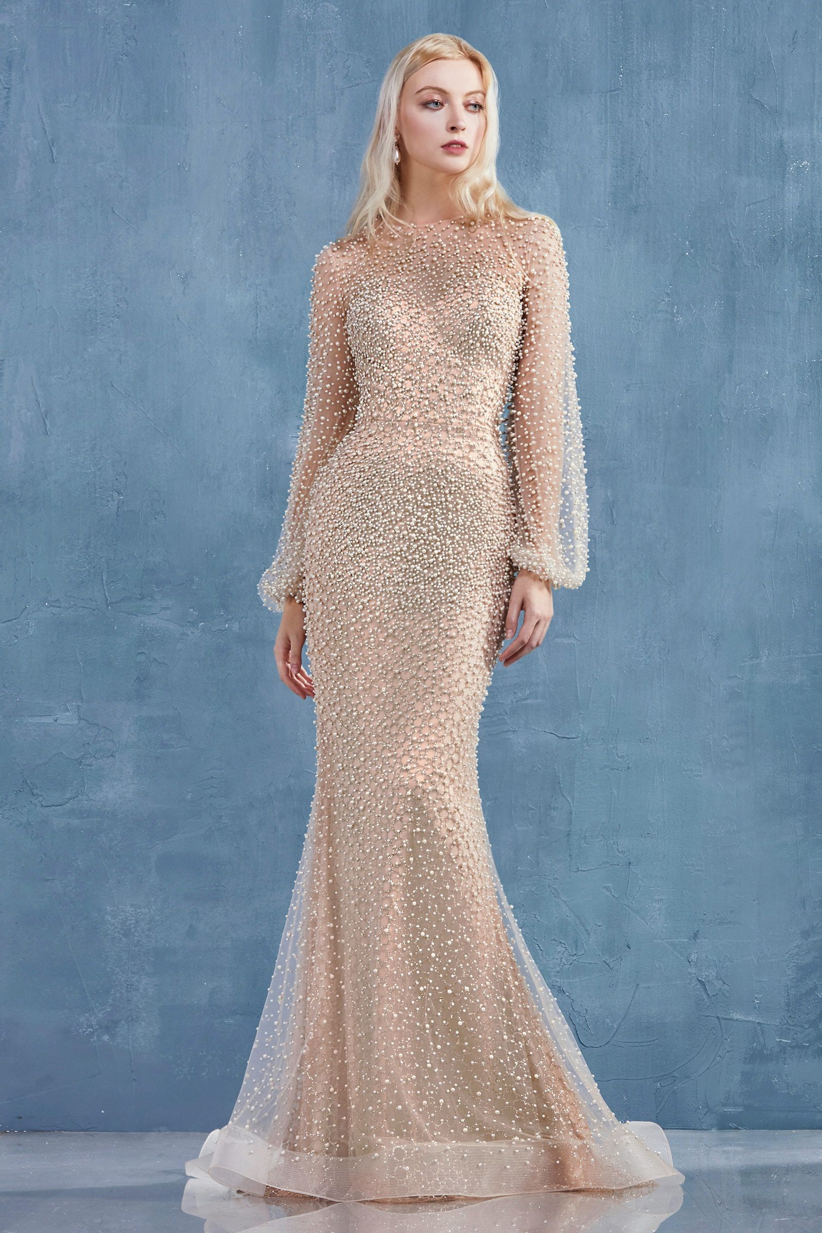 Iris Gown With Long Sleeves - RoshelLuxe.com
