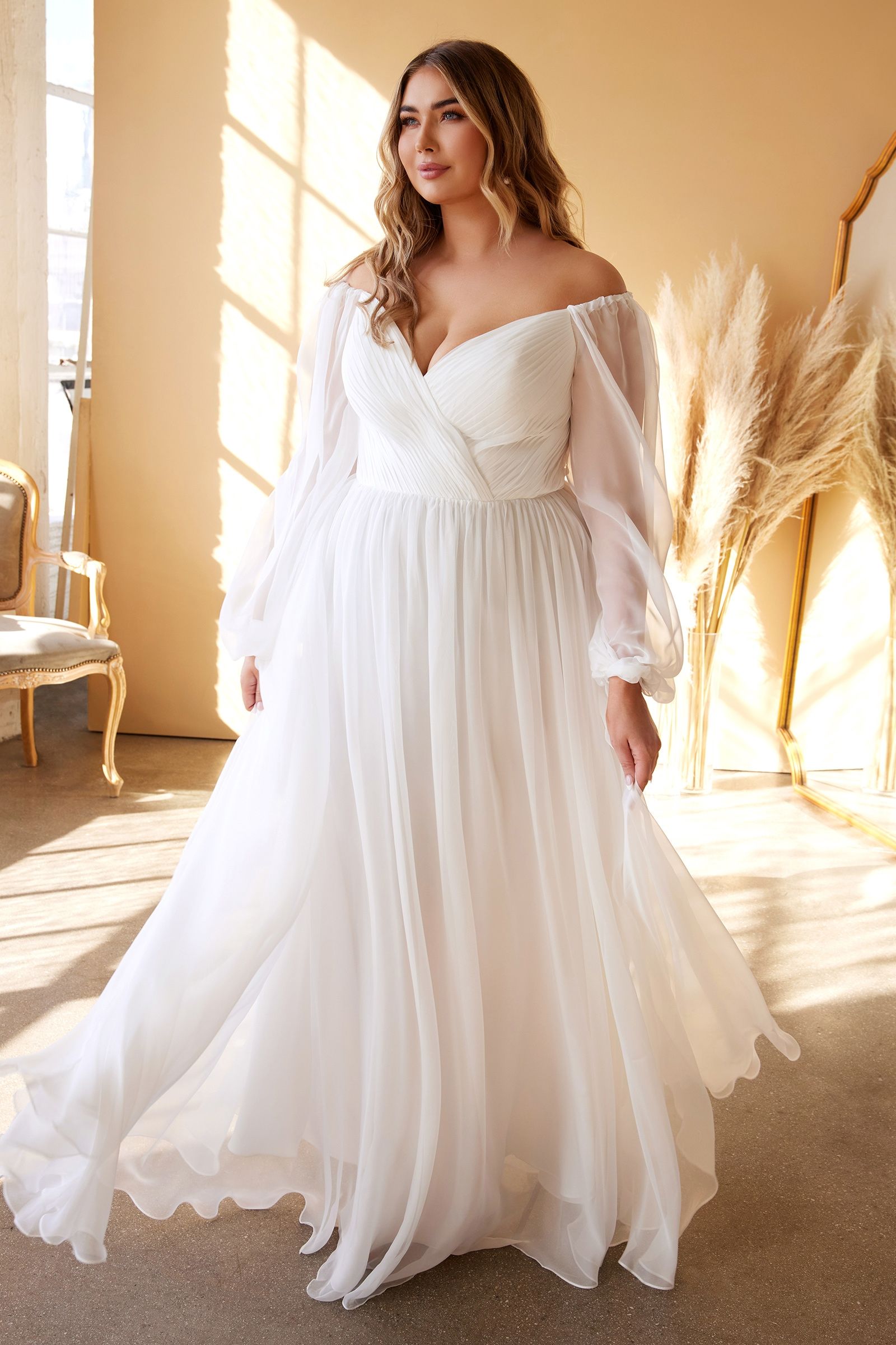 Plus Size Sweetheart Sheer Sleeve Chiffon Dress - RoshelLuxe.com