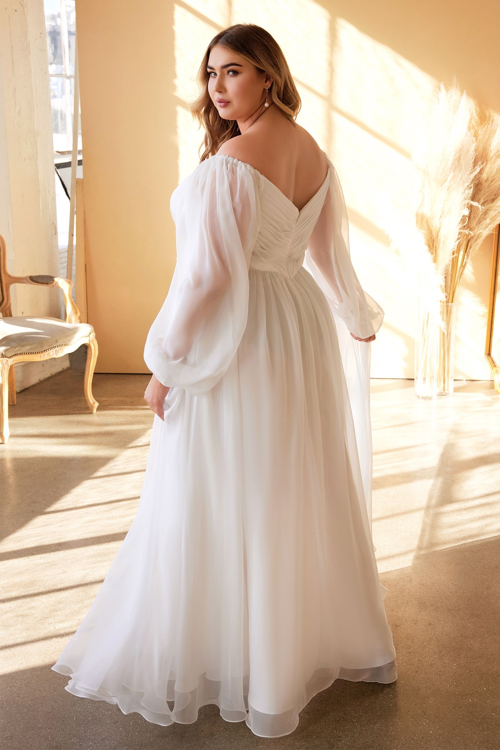 Plus Size Sweetheart Sheer Sleeve Chiffon Dress - RoshelLuxe.com