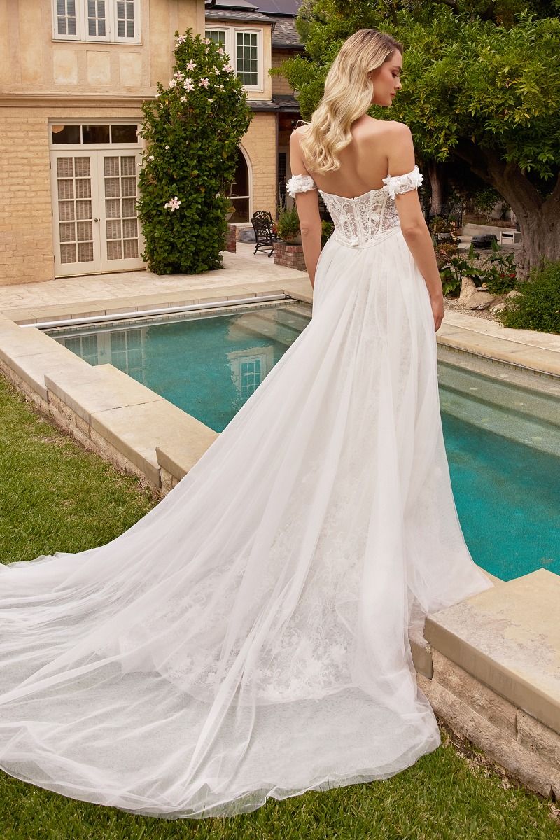 Fit & Flare Bridal Gown With Removable Skirt - RoshelLuxe.com