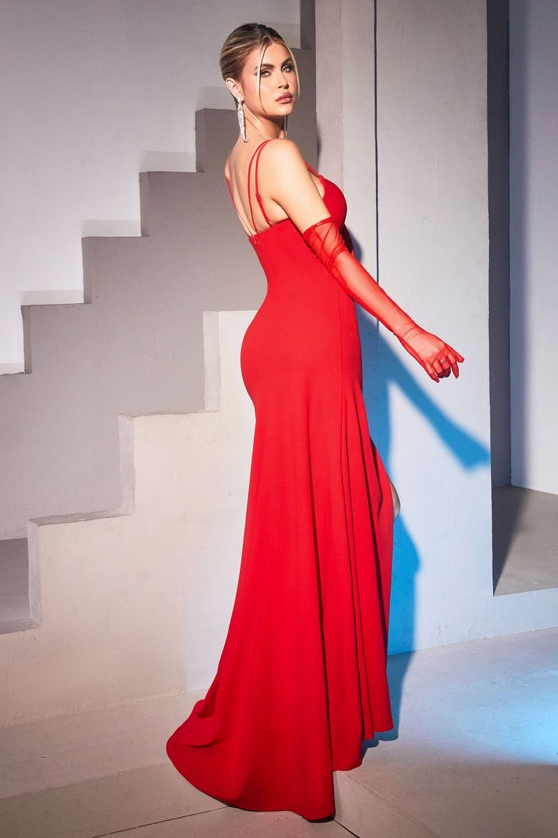 Fitted Gown With Tulle Cut Out - RoshelLuxe.com