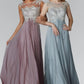 Chiffon Long Dress with Lace Embellished Bodice and Sheer Neckline - RoshelLuxe.com