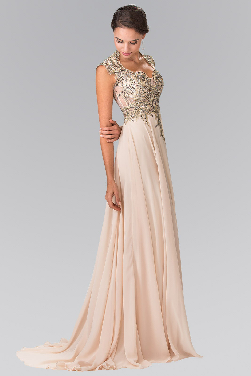 Full Embroidered Top Chiffon Long Dress with Sheer Back - RoshelLuxe.com