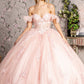 3-D Flower Illusion Sweetheart Sheer Bodice Mesh Ball Gown - RoshelLuxe.com