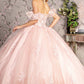 3-D Flower Illusion Sweetheart Sheer Bodice Mesh Ball Gown - RoshelLuxe.com