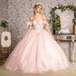 3-D Flower Illusion Sweetheart Sheer Bodice Mesh Ball Gown - RoshelLuxe.com