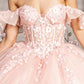 3-D Flower Illusion Sweetheart Sheer Bodice Mesh Ball Gown - RoshelLuxe.com